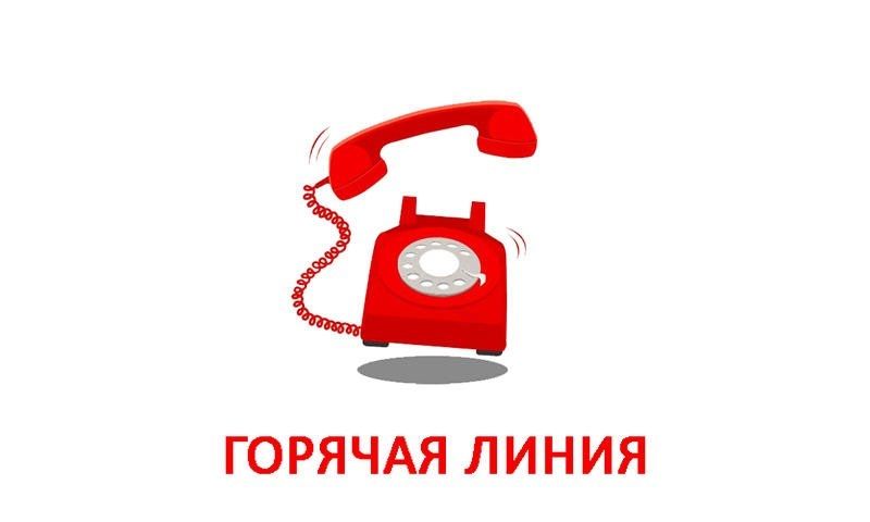 Информация о работе телефона «Горячая линия»