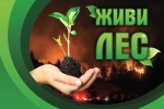 Всероссийская акция «Живи, лес»