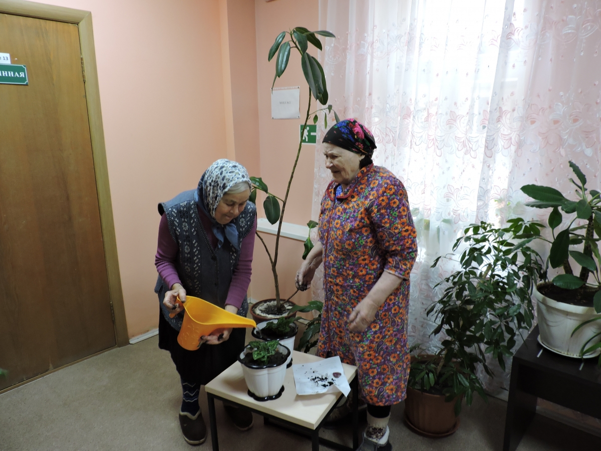 Гарденотерапия в Новочадовском филиала ГБСУСОССЗН РМ «Заречный дом-интернат для престарелых и инвалидов»
