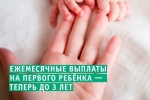 Государственная поддержка семей при рождении (усыновлении) первого ребенка