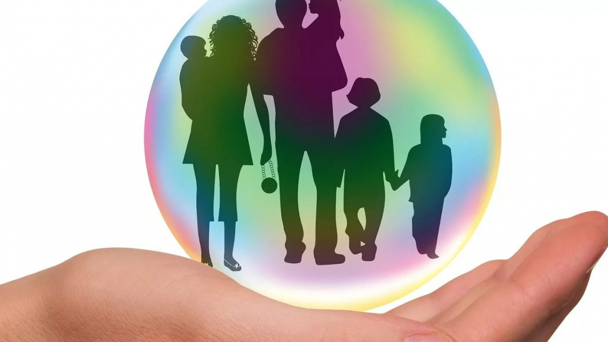Семейно-демографический проект «На защите семьи и  детства»