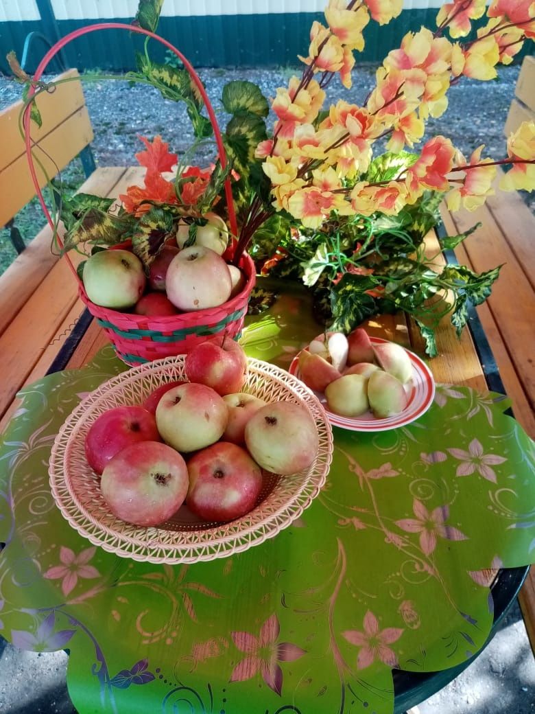 «Отведай яблочко на Яблочный Спас»