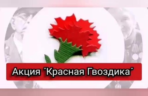 «Всероссийская акция «Красная гвоздика»