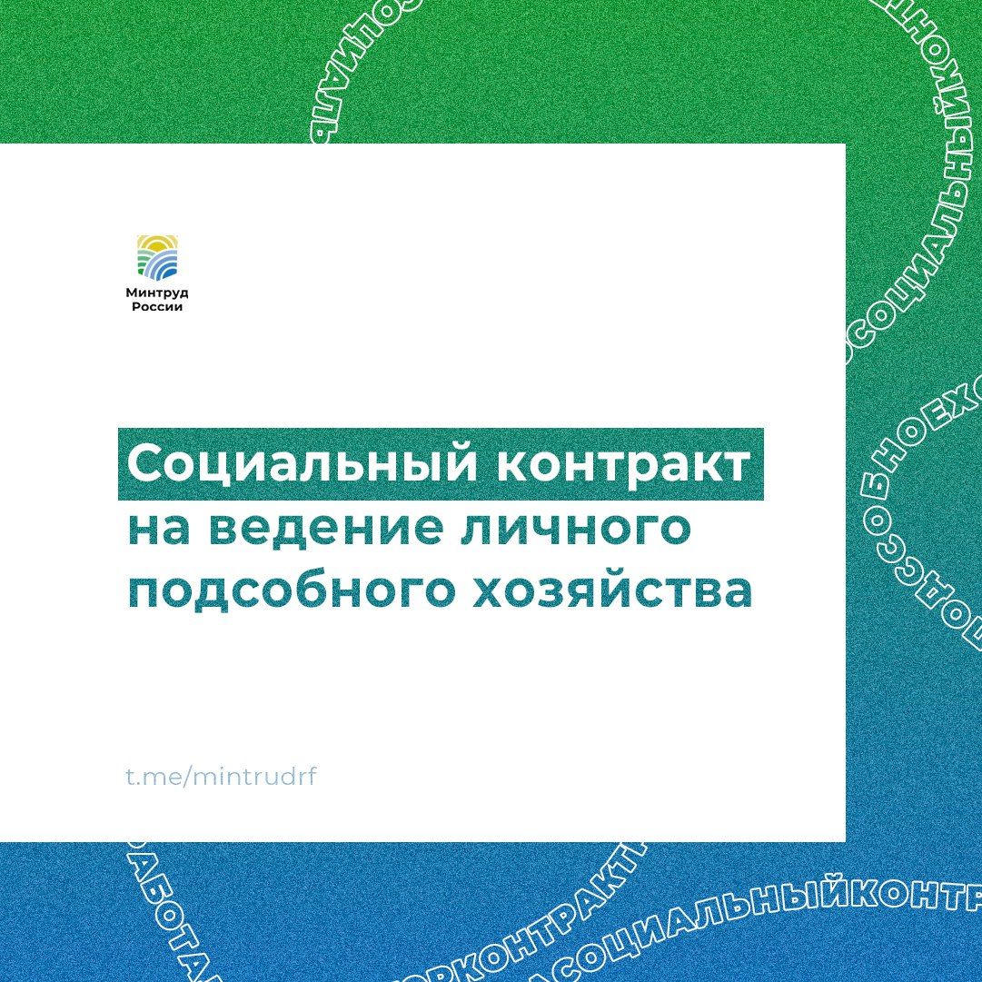 Отвечаем на вопросы об условиях заключения соцконтракта на ведение личного подсобного хозяйства