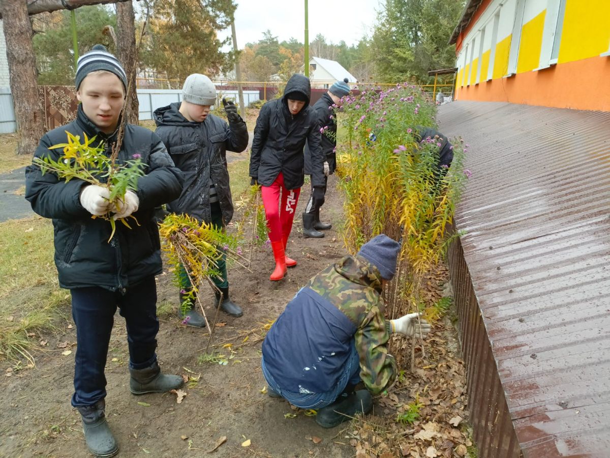 Твердохлебова С.И «Осенняя уборка цветника»