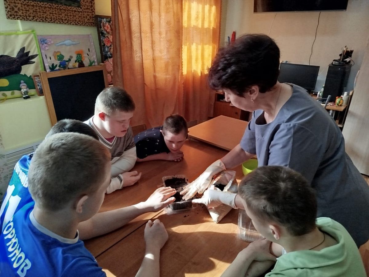 Посев семян бархатцев на рассаду