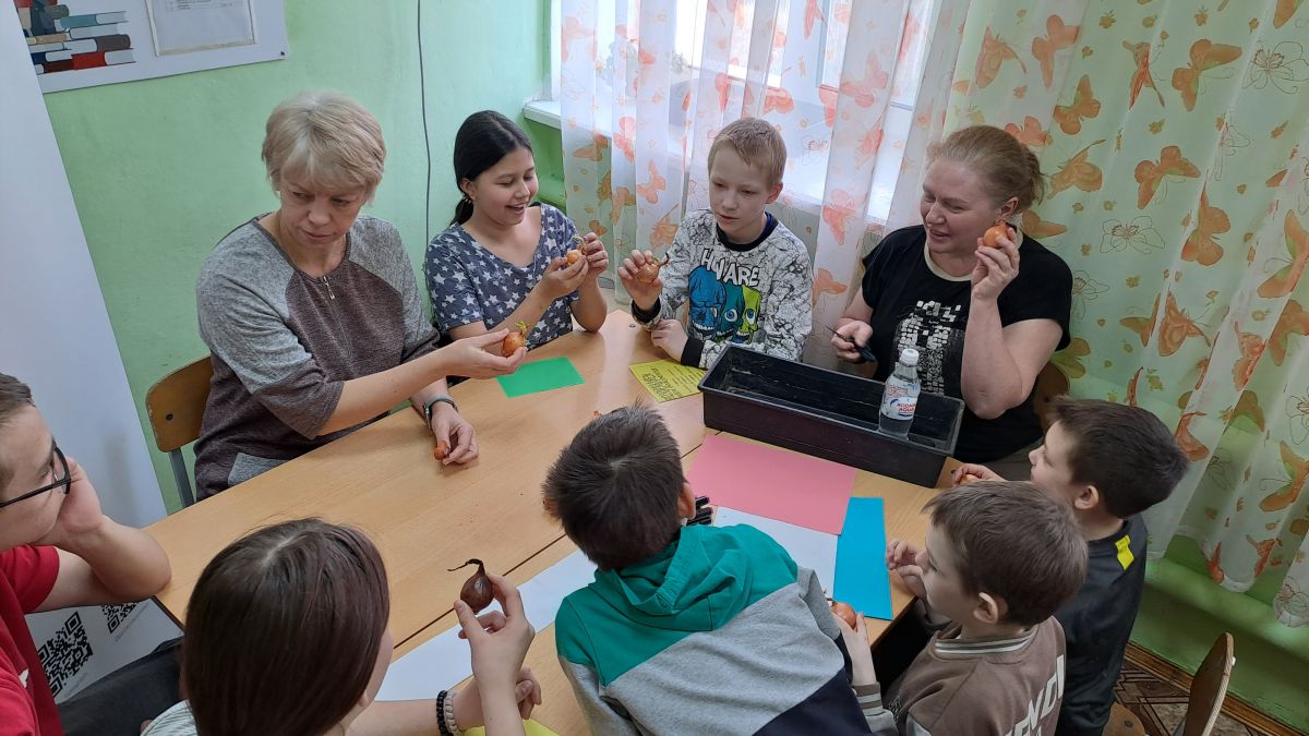Луковые гонки Луковые гонки