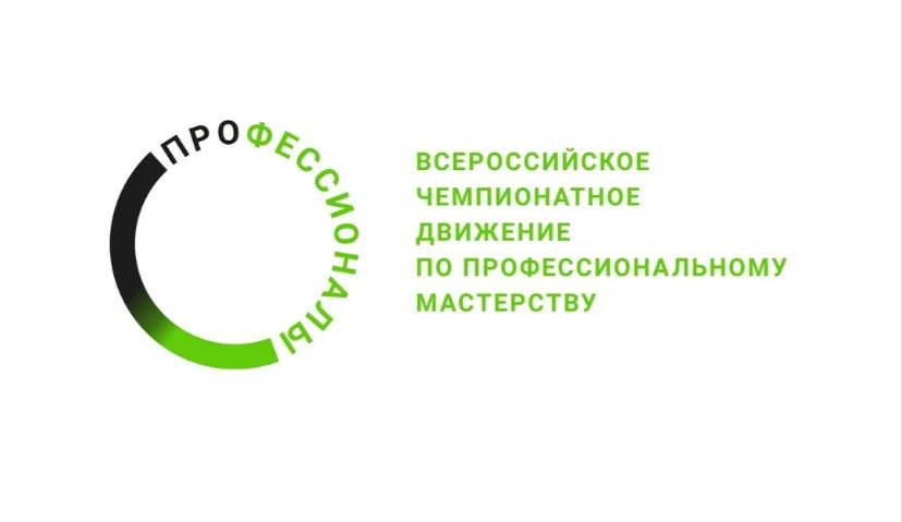 Чемпионат по профессиональному мастерству «Профессионалы» Чемпионат по профессиональному мастерству «Профессионалы»