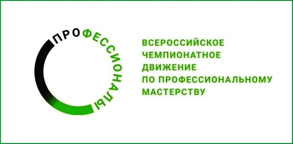 Чемпионат «Профессионалы» Чемпионат «Профессионалы»