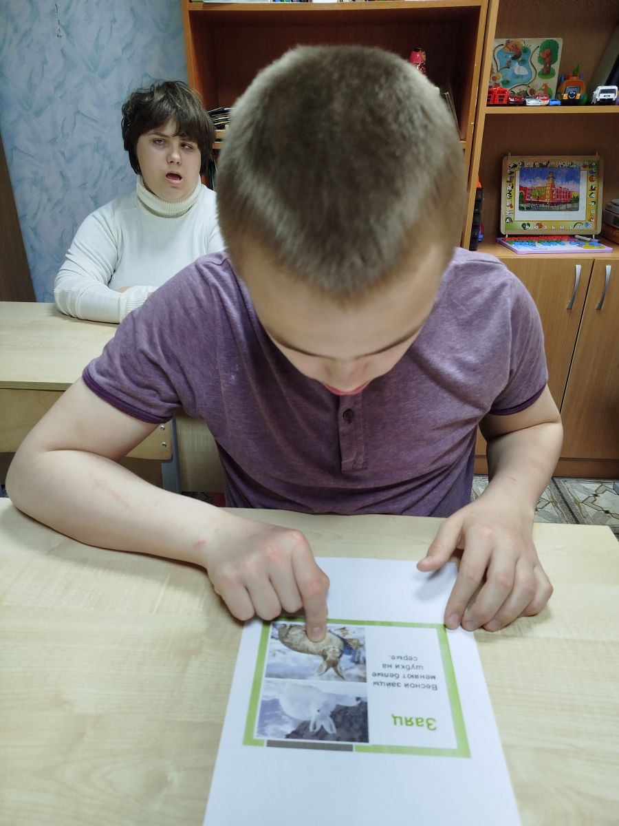 Животные весной Животные весной