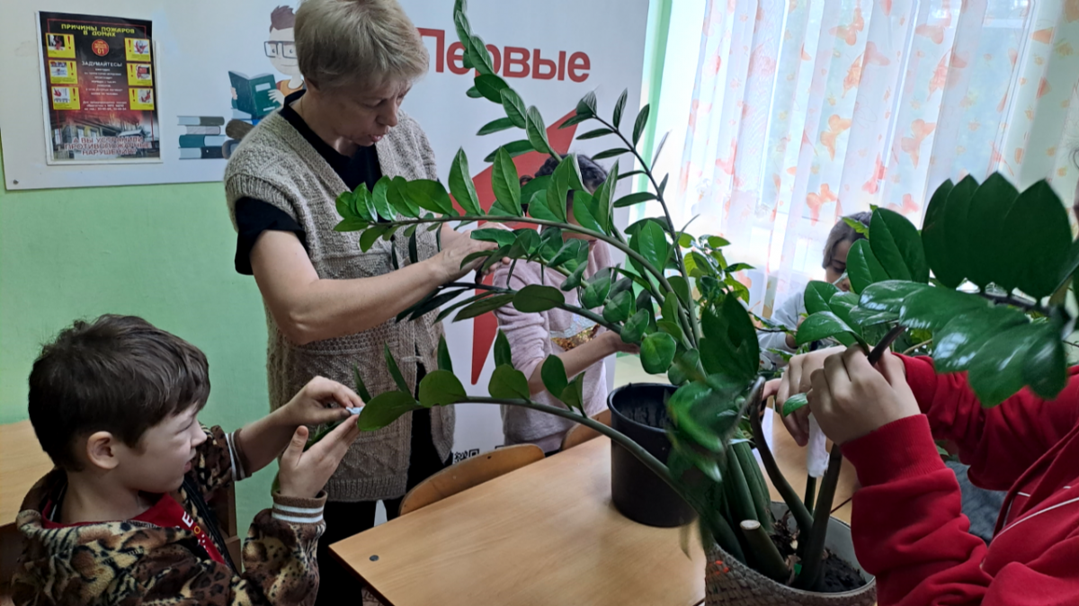 Весенняя уборка Весенняя уборка