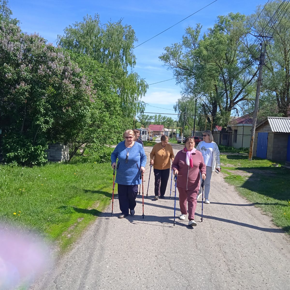 «Здоровое долголетие» «Здоровое долголетие»