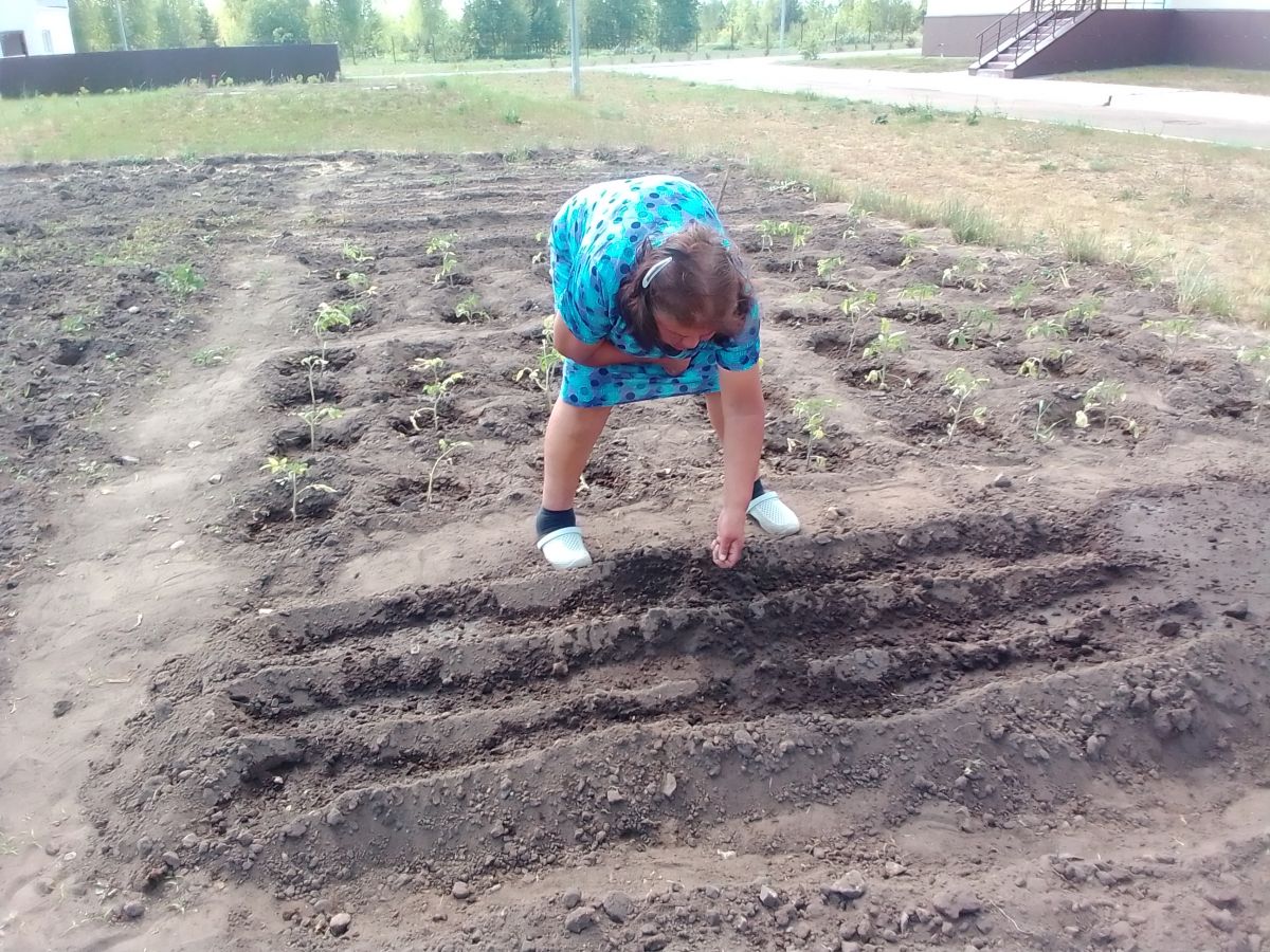 Работа на огороде Работа на огороде