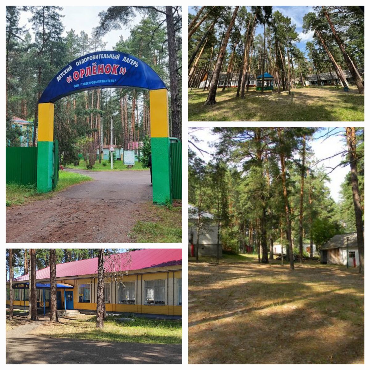 ДОЛ «Орленок» встретил своих «орлят»!