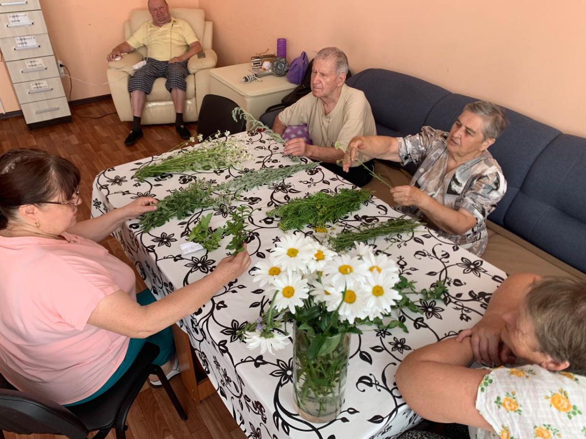 Урок здоровья «Лечебные травы. Польза и вред для пожилых людей» Урок здоровья «Лечебные травы. Польза и вред для пожилых людей»