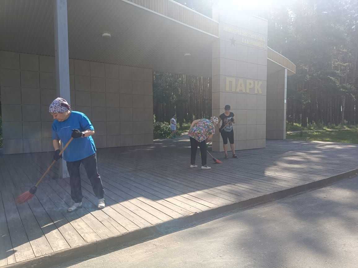 Городской субботник Городской субботник