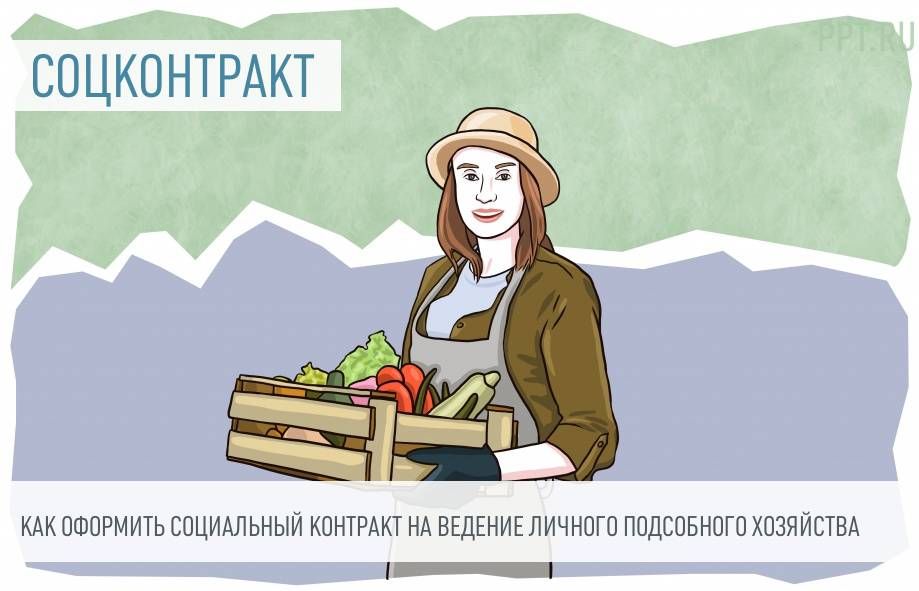 Оказание государственной социальной помощи на основании социального контракта – ведение личного подсобного хозяйства Оказание государственной социальной помощи на основании социального контракта – ведение личного подсобного хозяйства