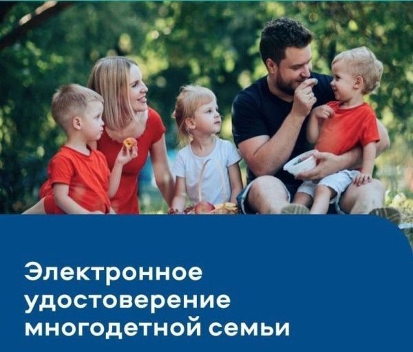 А вы знали, что на «Госуслугах» можно оформить электронное удостоверение многодетной семьи? А вы знали, что на «Госуслугах» можно оформить электронное удостоверение многодетной семьи?