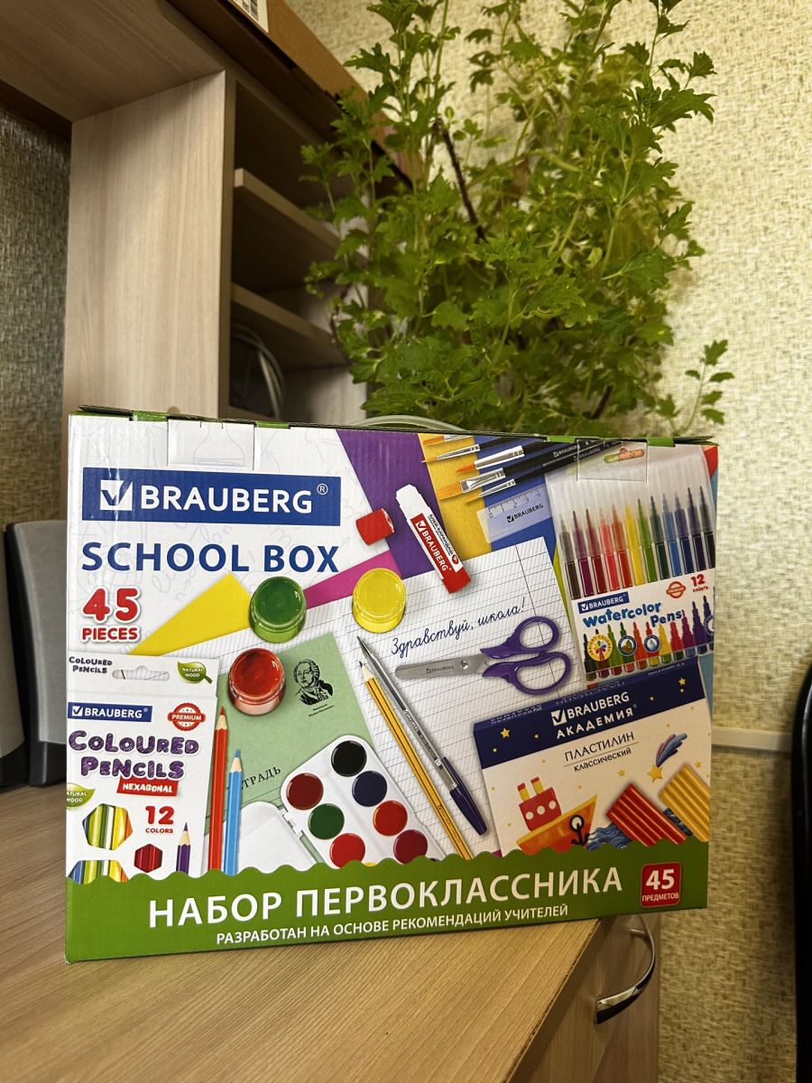«Здравствуй школа!» «Здравствуй школа!»