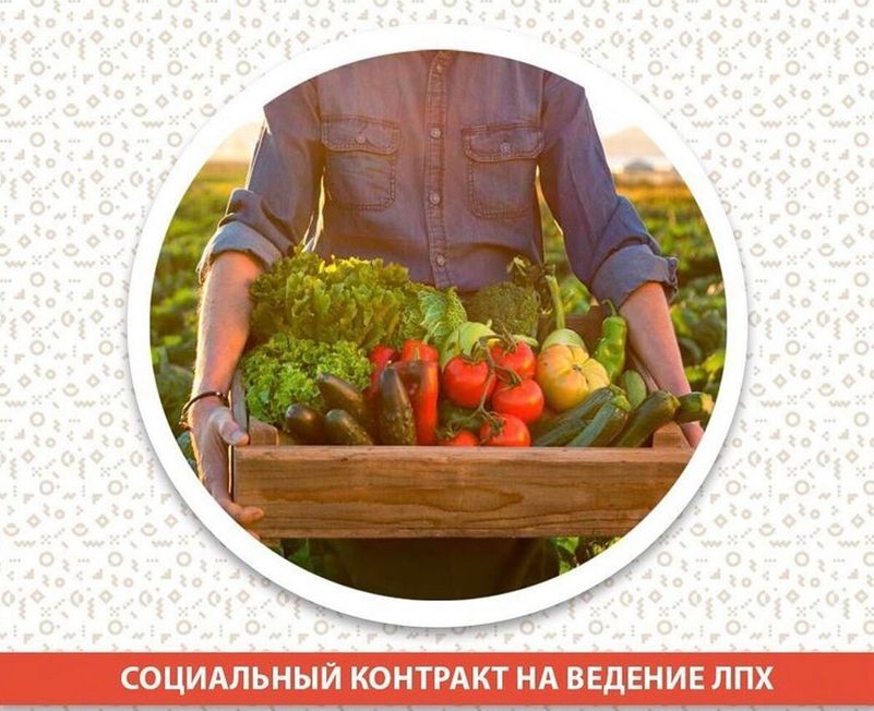 Оказание государственной социальной помощи на основании социального контракта – ведение личного подсобного хозяйства Оказание государственной социальной помощи на основании социального контракта – ведение личного подсобного хозяйства