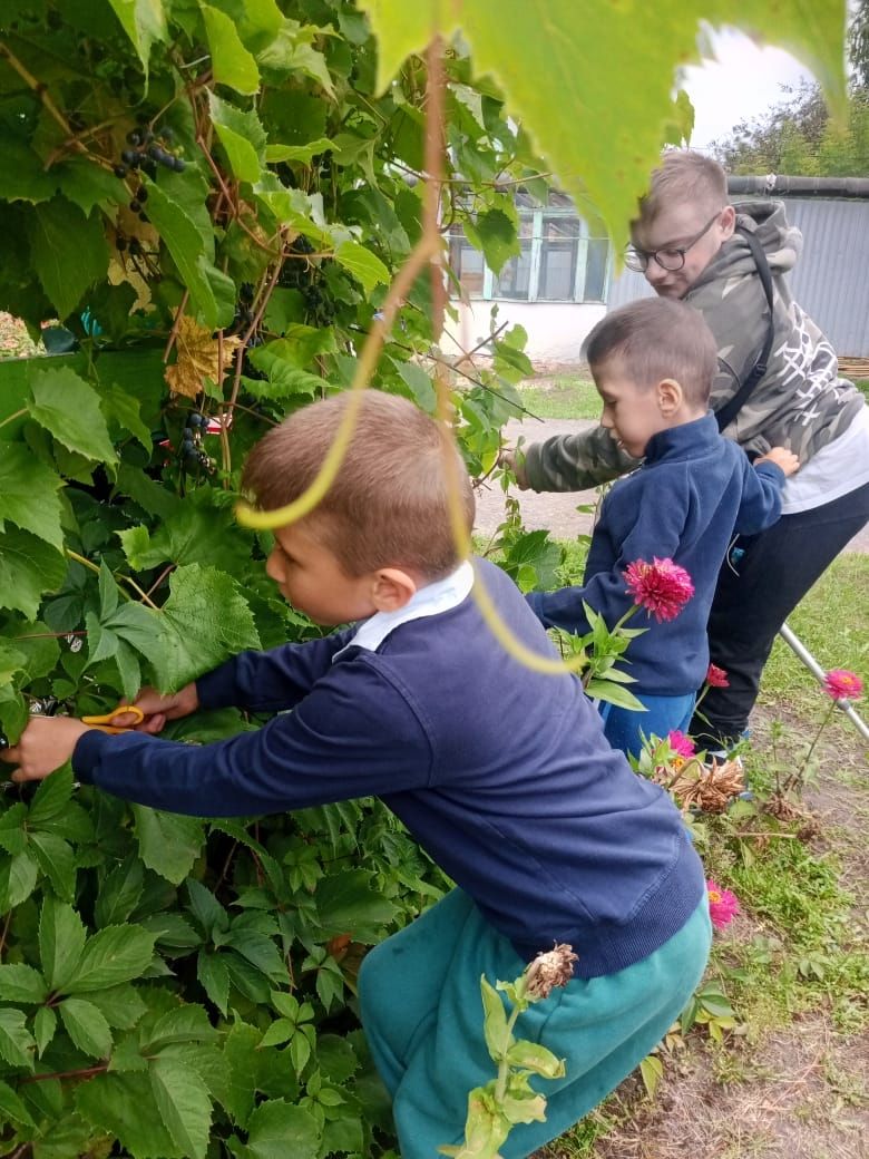 Пришло время собирать плоды