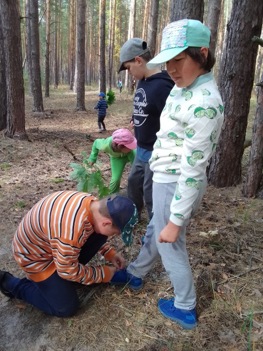 Прогулка в осенний лес