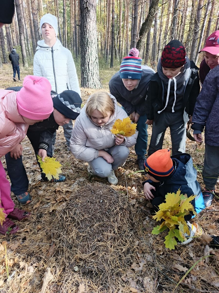 Бережное отношение к природе родного края Бережное отношение к природе родного края