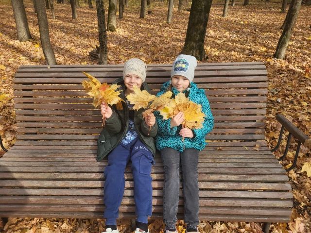 Прогулка в осеннем лесу Прогулка в осеннем лесу