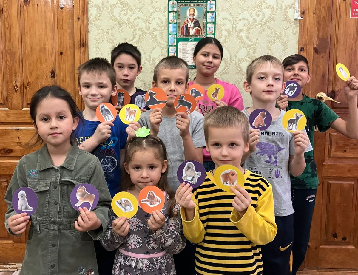 Наши верные друзья – собаки