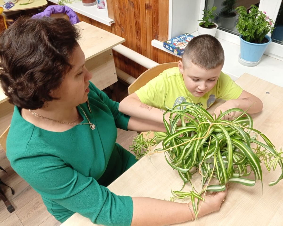 Сегодня воспитателем Грицковой Н. С. было проведено практическое занятие по уходу за комнатными растениями