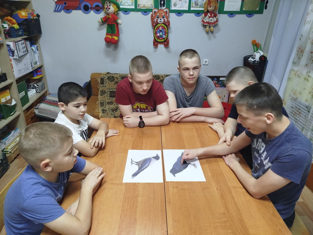 «Зимующие птицы. Ворона»