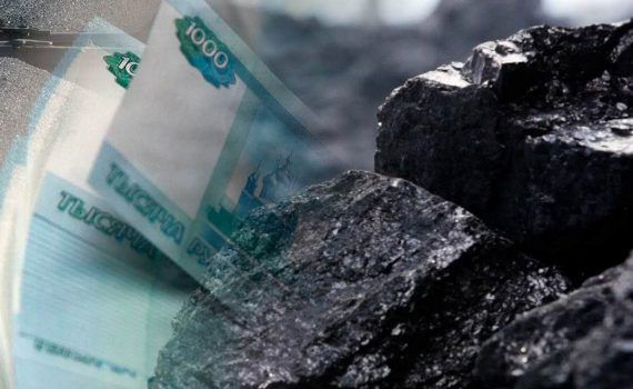 Единовременная денежная компенсация части расходов по оплате твердого топлива членам семей участников специальной военной операции