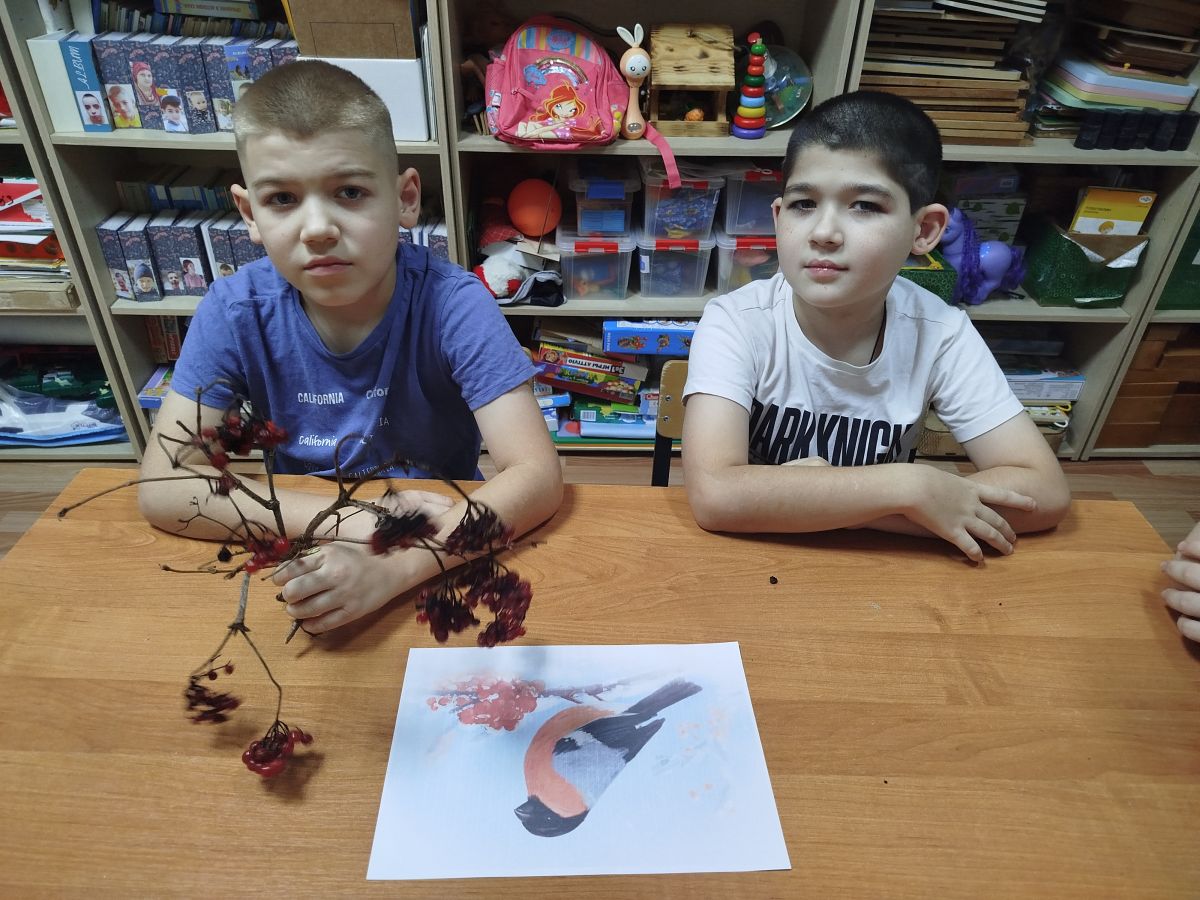 Зимующие птицы. Снегири