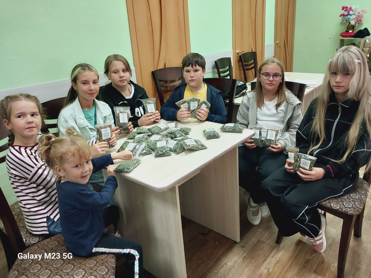 Акция «Витаминный чай» по сбору пакетиков с чайными травами для бойцов СВО