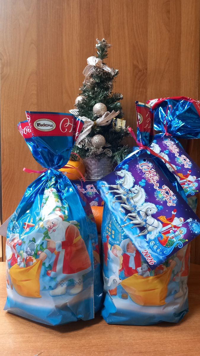 Новогодние подарки от Главы Республики Мордовия 2025г