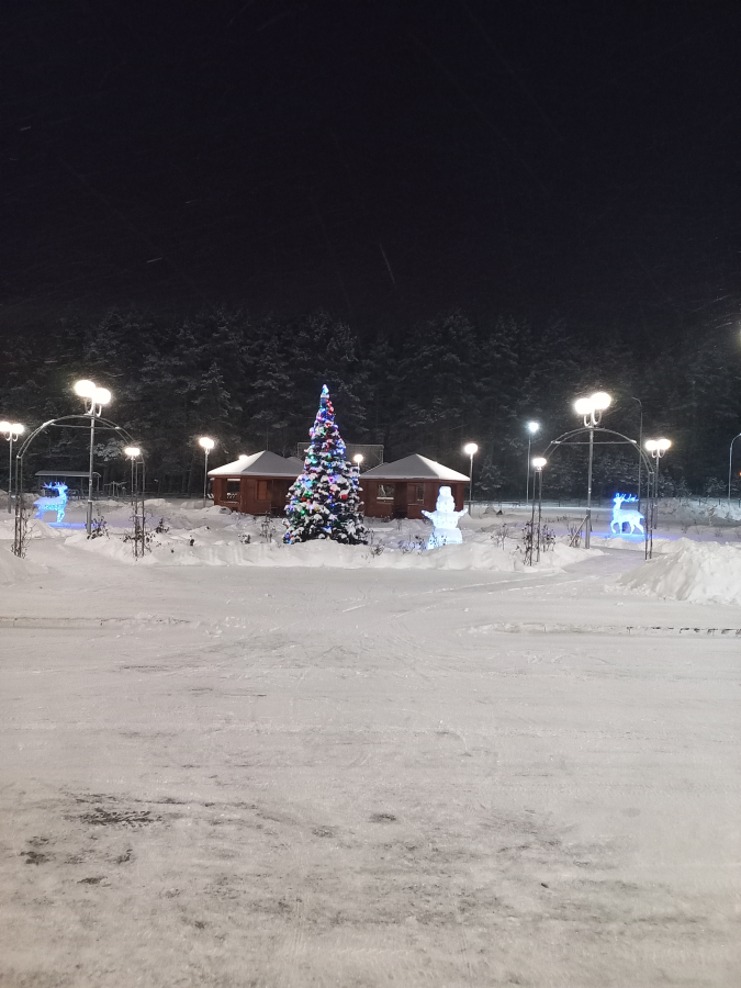 Подготовка к Новому  году в доме-интернате
