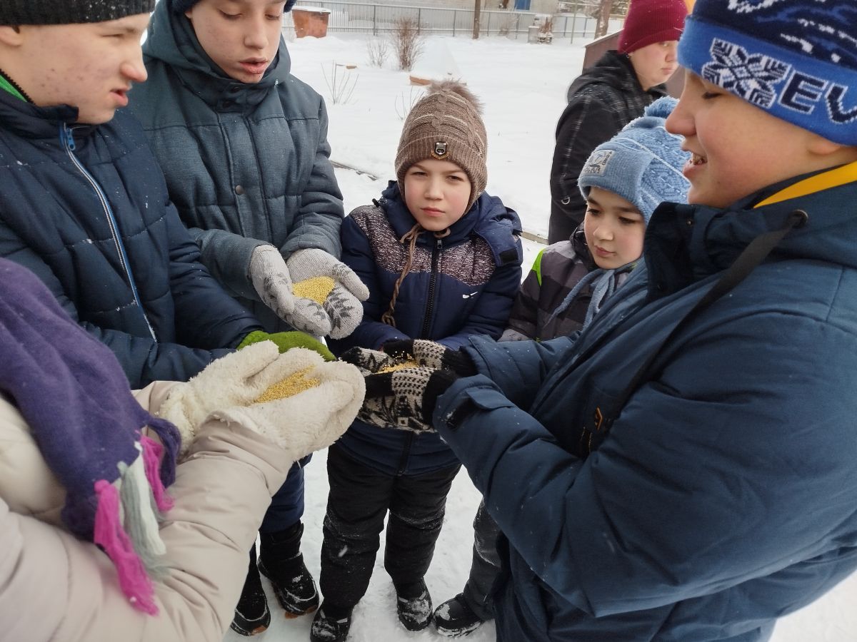 Покормим птиц зимой