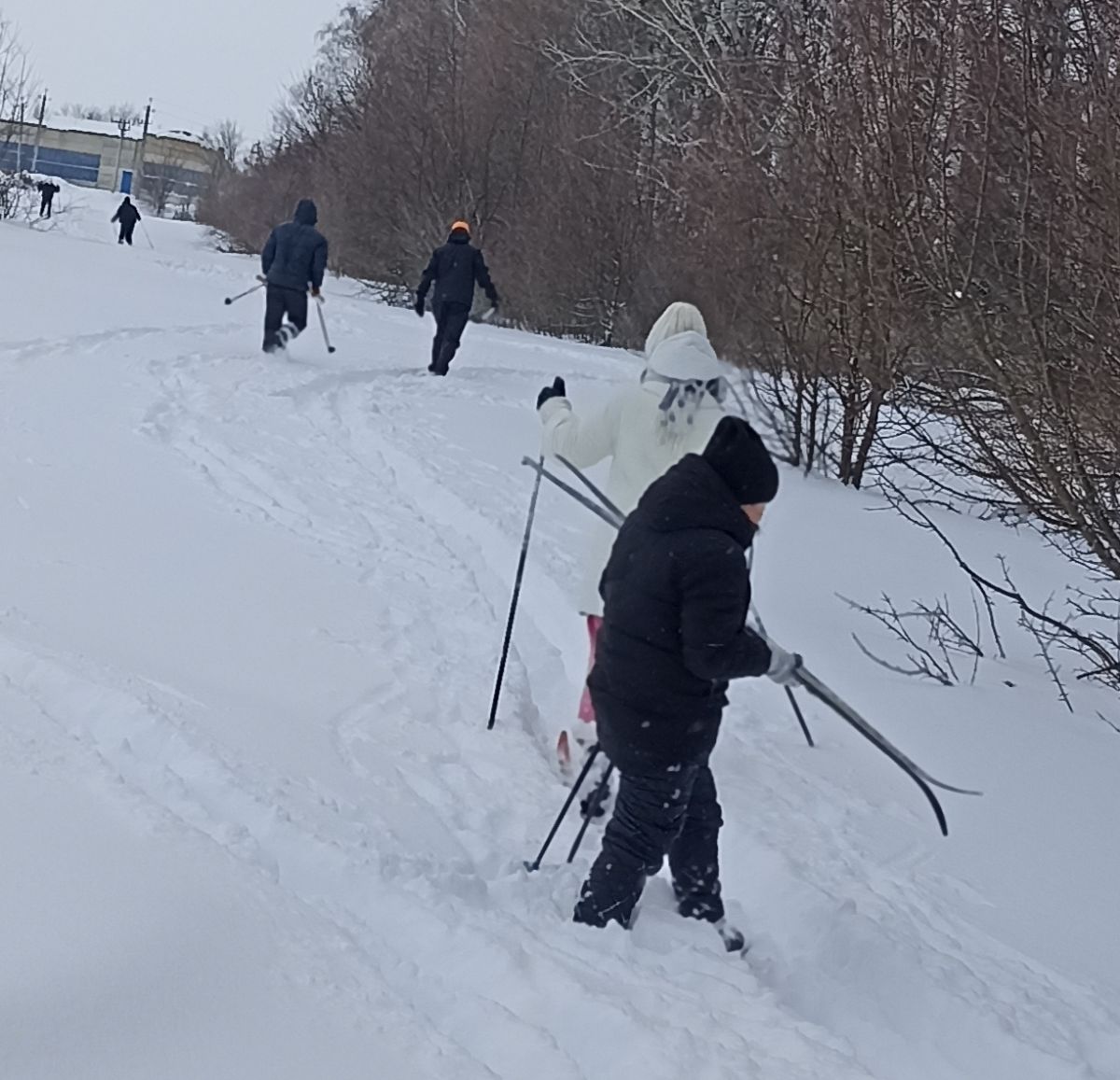 Лыжная вылазка &laquo;Родная тропинка&raquo;