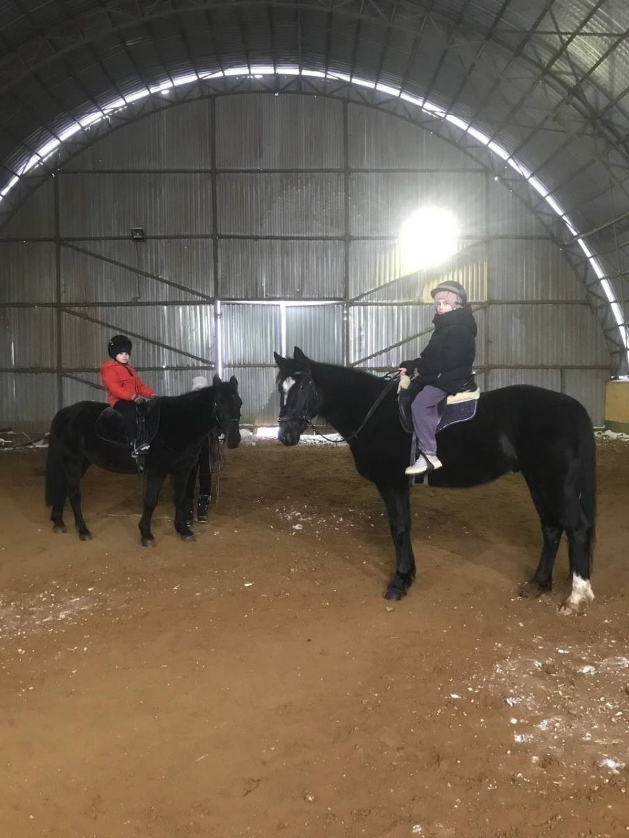 Занятия по иппотерапии