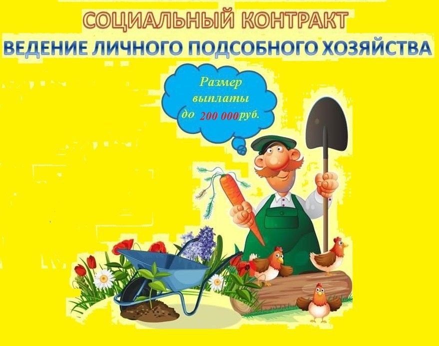 Социальный контракт на ведение личного подсобного хозяйства (ЛПХ)