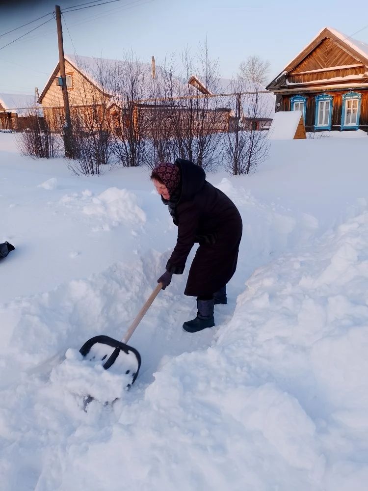 Акция волонтерской помощи пожилым людям и инвалидам по уборке снега &laquo;Снежный десант&raquo;