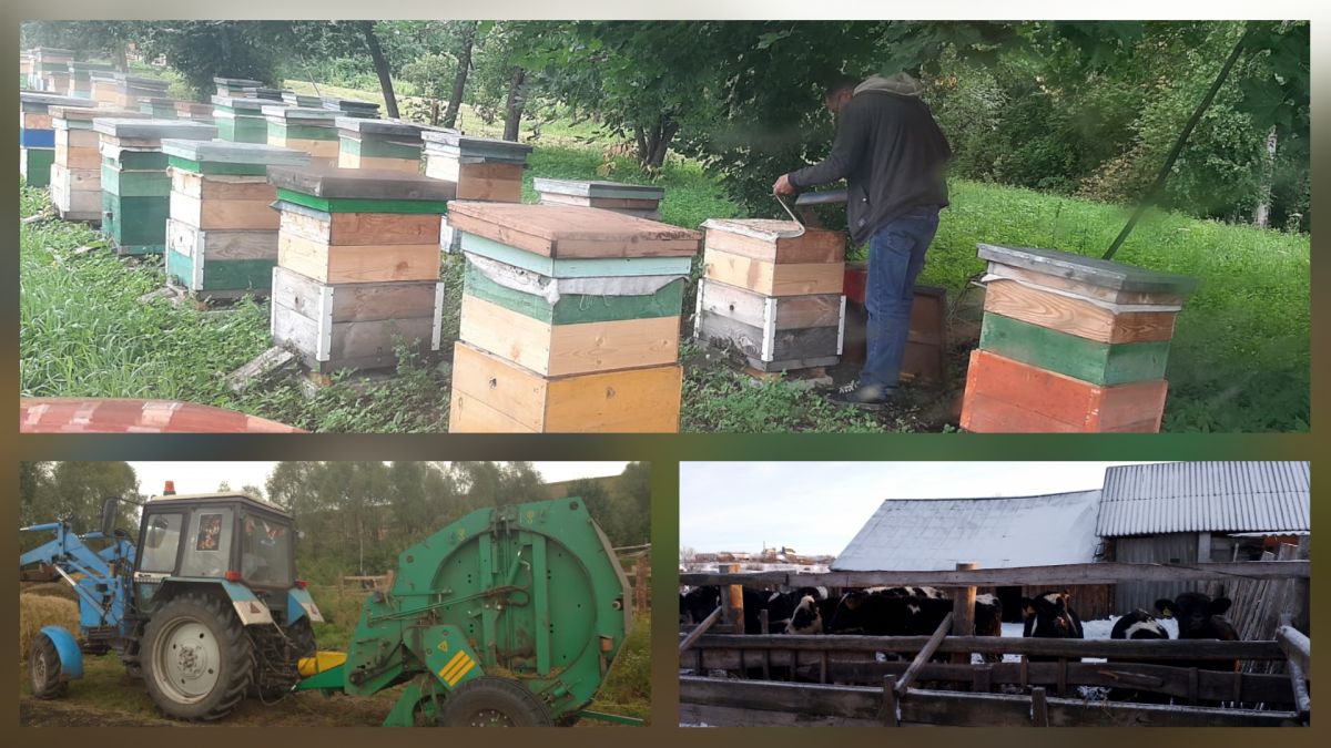 Один из видов оказания государственной социальной помощи на основании социального контракта - ведение личного подсобного хозяйства