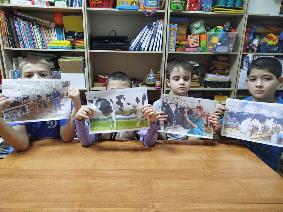 Домашние животные.Корова