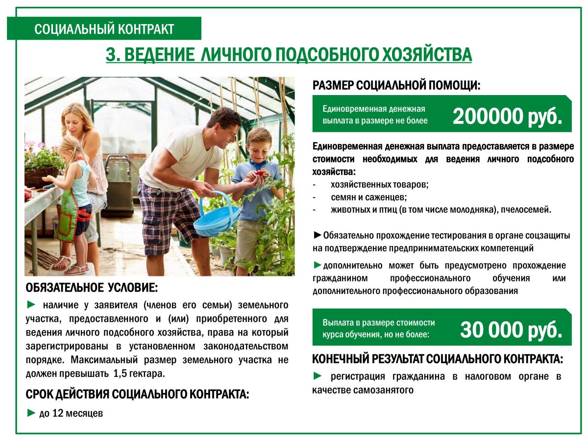 Социальный контракта на ведение личного подсобного хозяйства(ЛПХ)