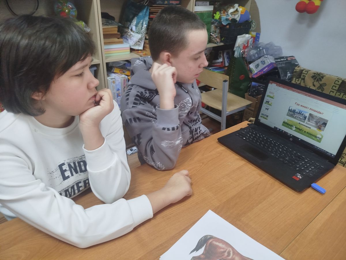 Домашние животные. Лошадь