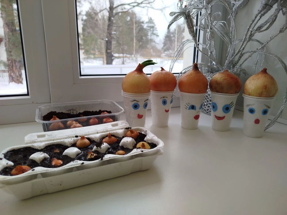 Познавательное занятие &laquo;Луковица в гостях у ребят&raquo;