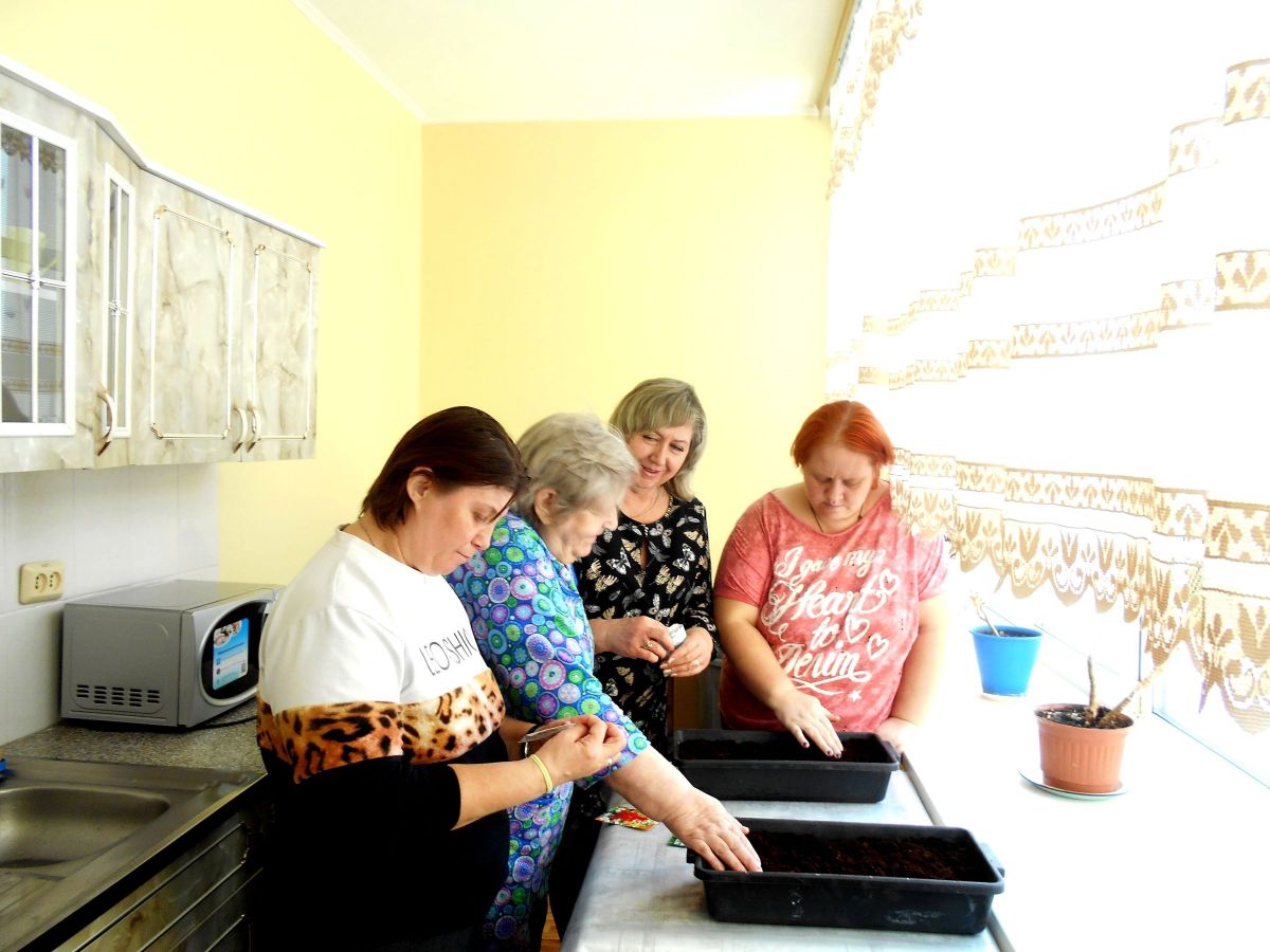 Посев семян на рассаду