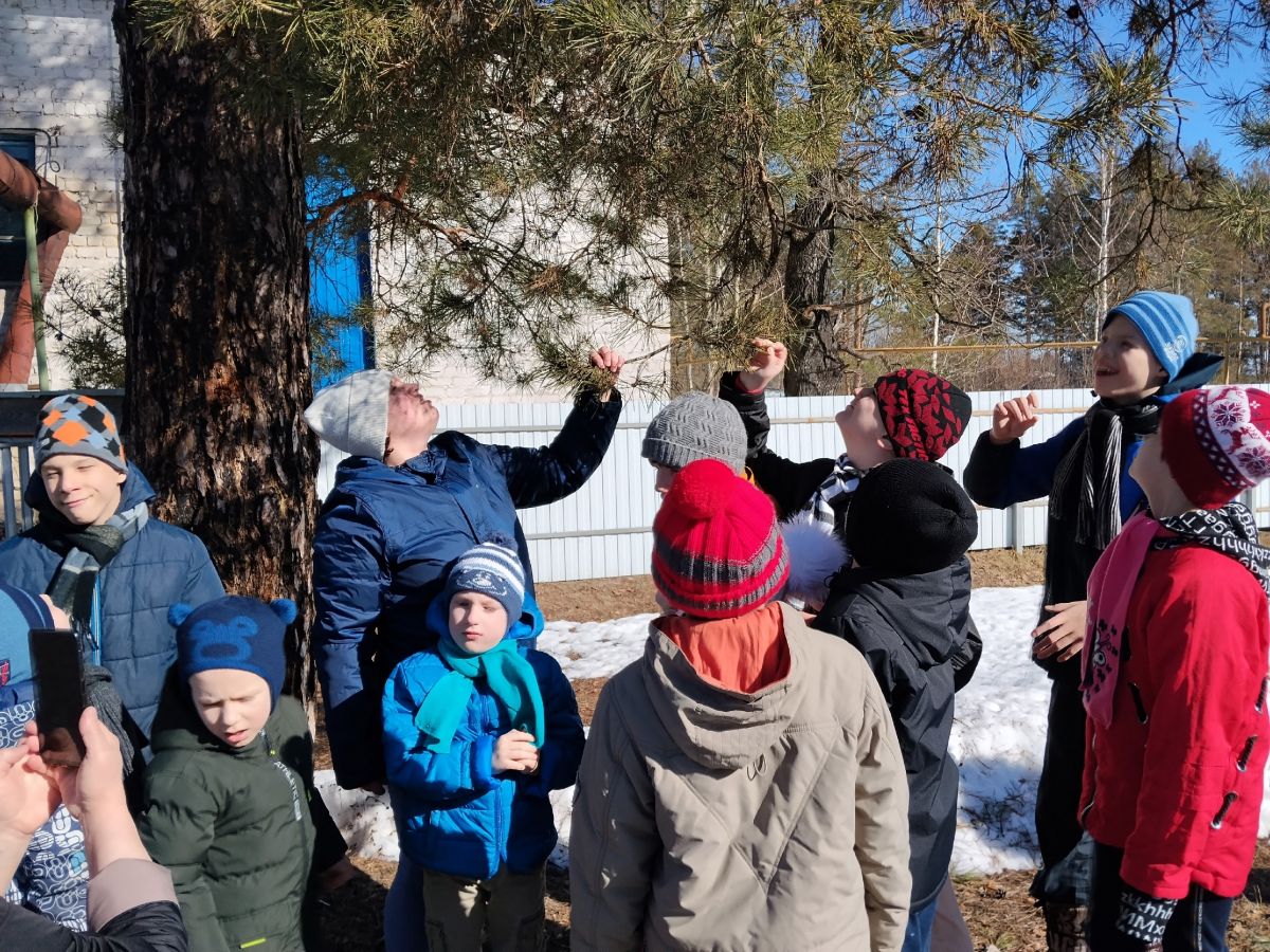 Весенняя прогулка