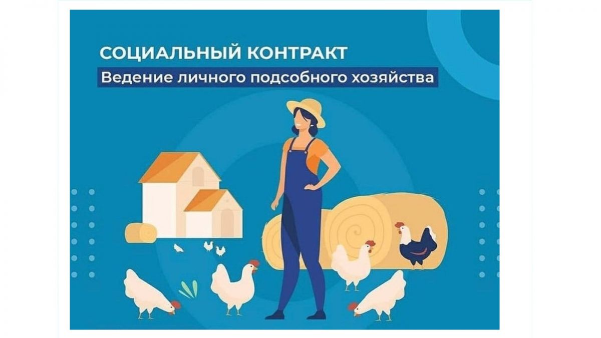 О развитии личного подсобного хозяйства