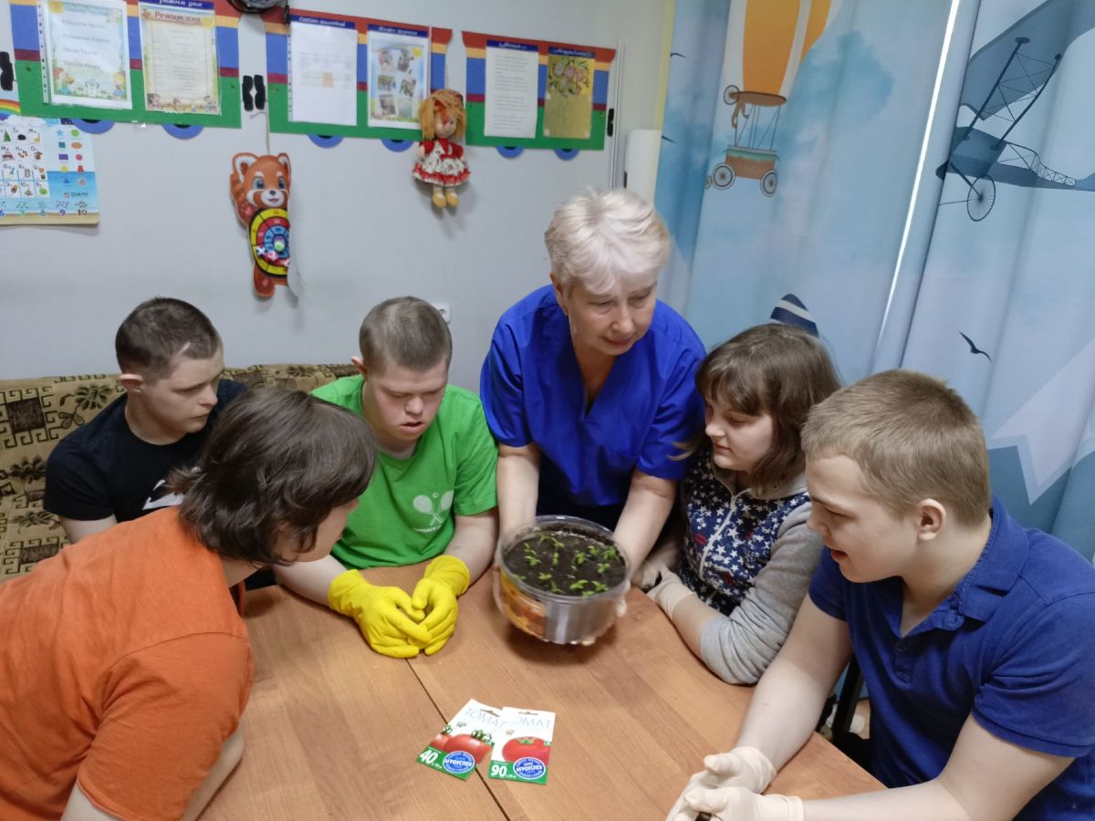 Посев семян помидоров на рассаду